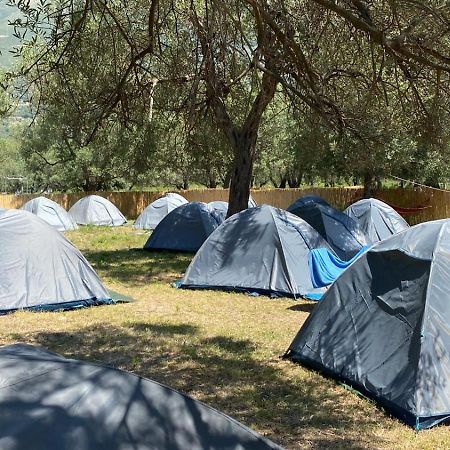 Hotel Borsh Olive Camping Exteriér fotografie