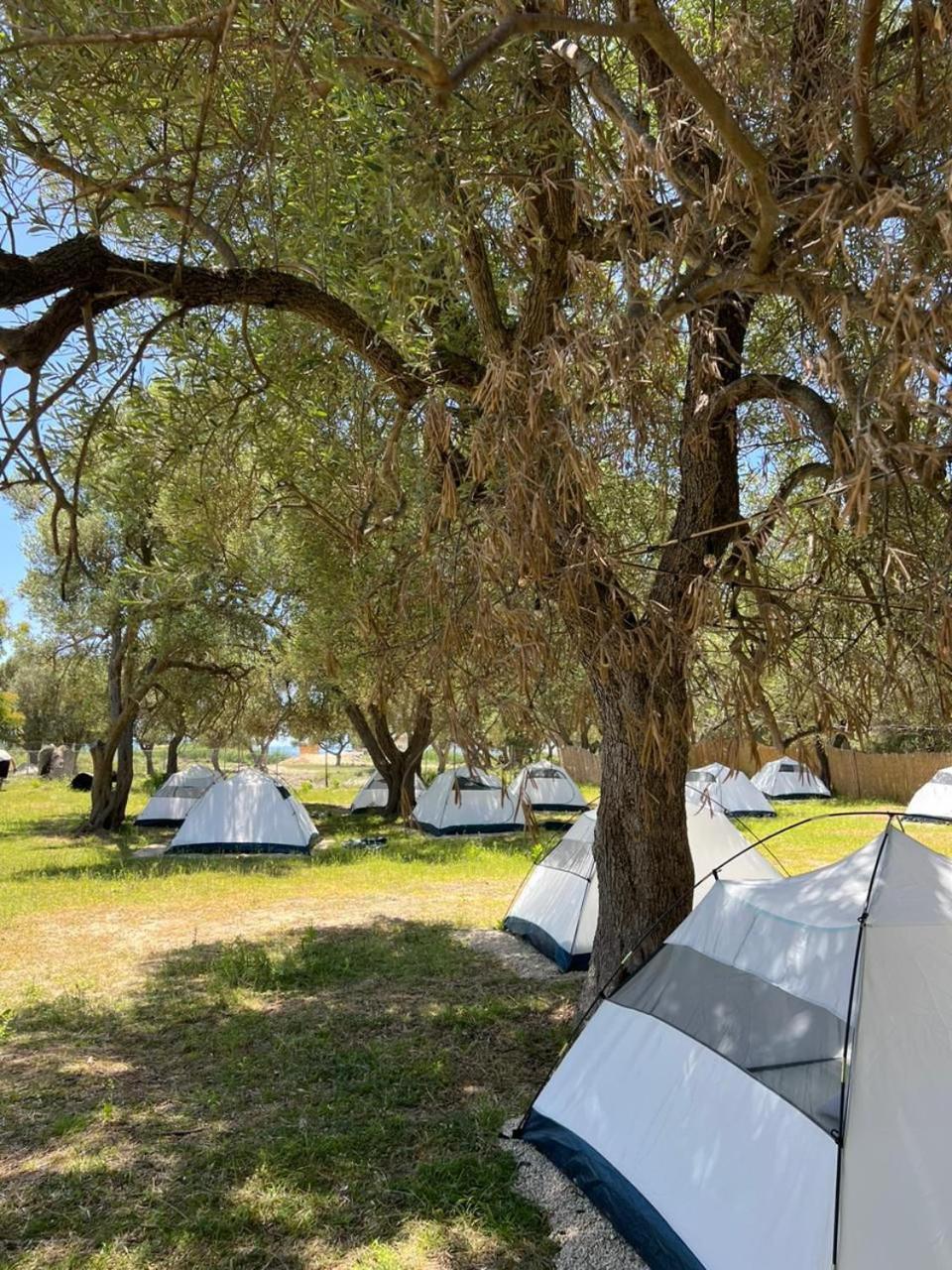 Hotel Borsh Olive Camping Exteriér fotografie